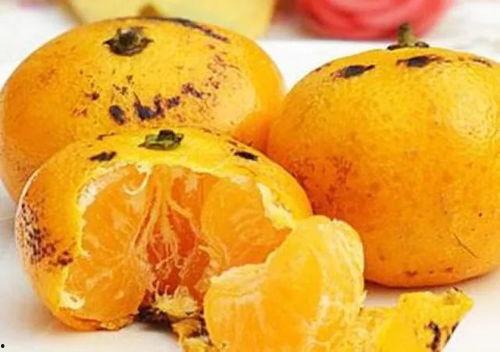 娱乐圈吃瓜橘子是谁,揭秘明星背后的真实故事