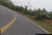 24年烁石公路车最新爆料,性能与设计双突破，引领骑行新潮流”