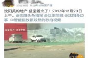 沈阳爆料最新,揭秘城市热点事件背后的真相